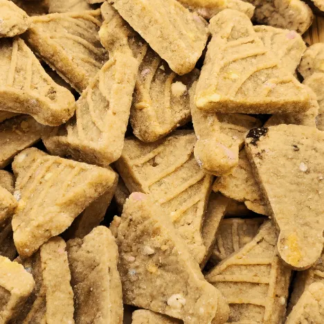 Banana Bash Caps Dog Treats From Glamorous Pups